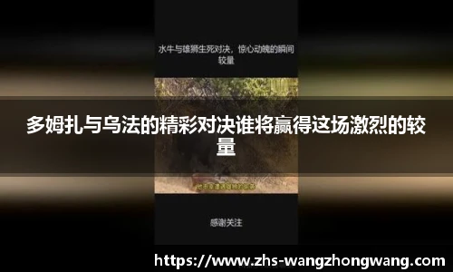 王中王官网资料