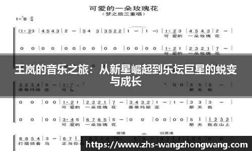 王岚的音乐之旅：从新星崛起到乐坛巨星的蜕变与成长